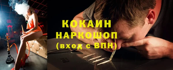 стаф Ельня
