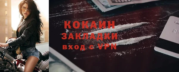 шишки Елизово