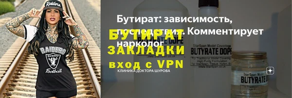 стаф Ельня