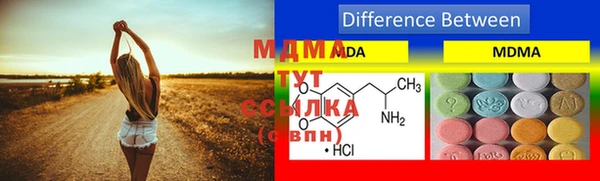 стаф Ельня