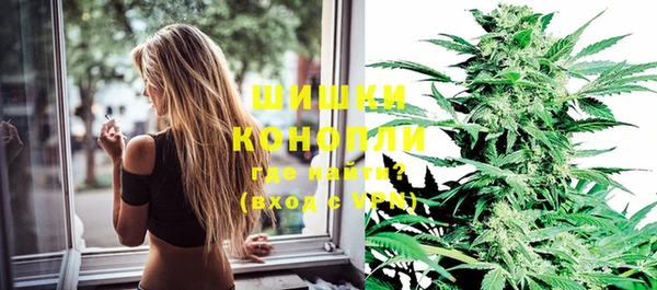 стаф Ельня