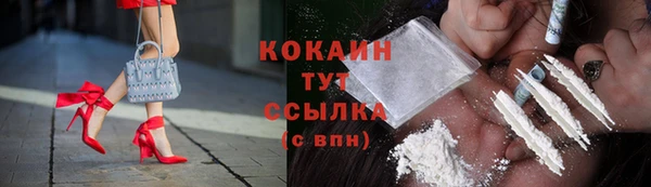стаф Ельня