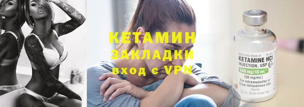 шишки Елизово