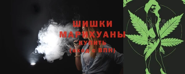 шишки Елизово