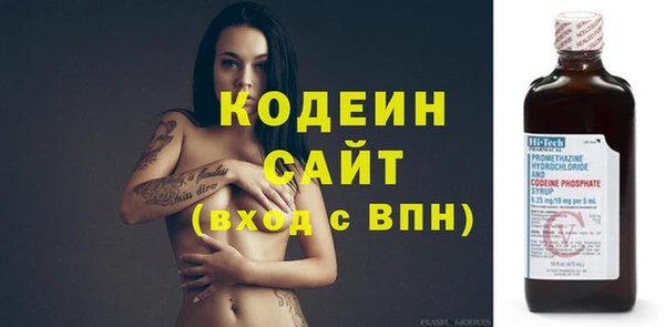 стаф Ельня