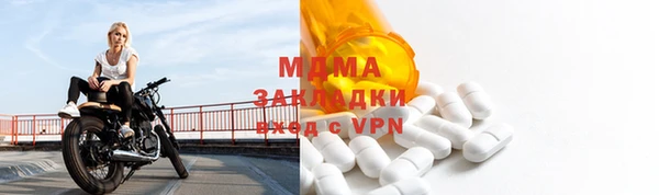 стаф Ельня