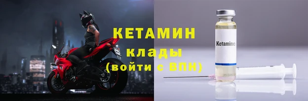 шишки Елизово