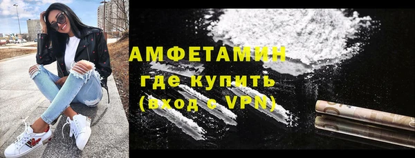 стаф Ельня