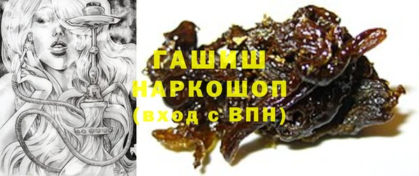 стаф Ельня