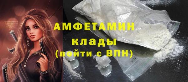 стаф Ельня