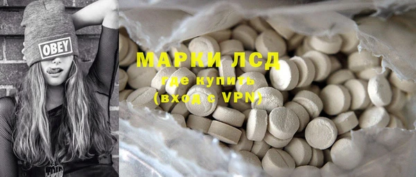 стаф Ельня