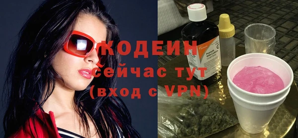 шишки Елизово