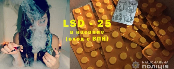 стаф Ельня