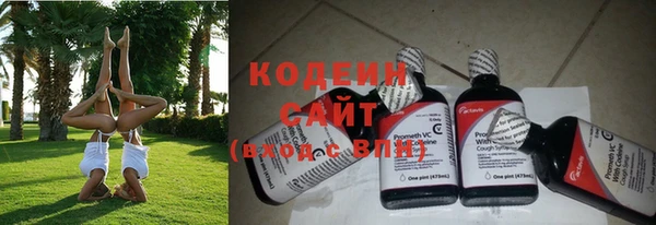 шишки Елизово