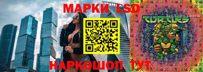 гидропоника Коммунар