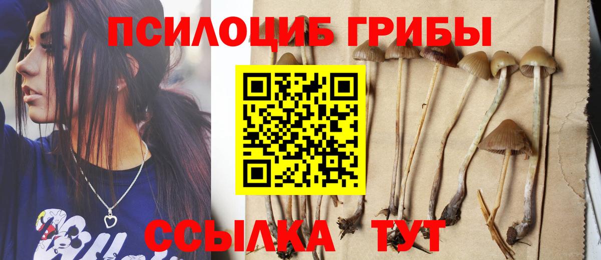 Псилоцибиновые грибы MAGIC MUSHROOMS Ипатово