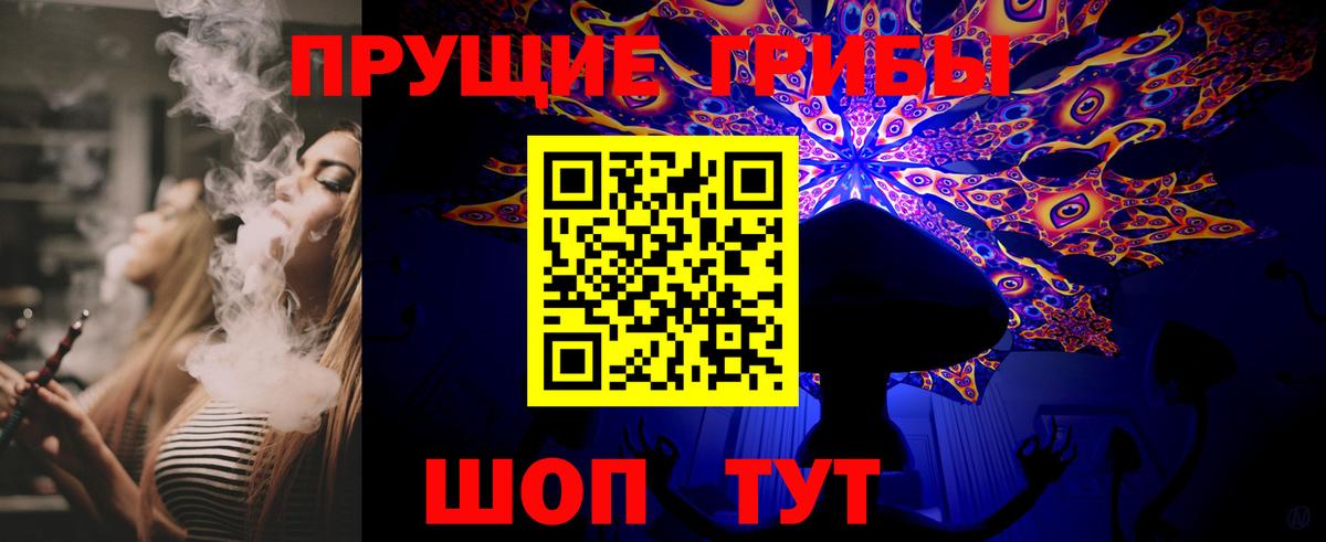 Ипатово  Псилоцибиновые грибы прущие грибы  Псилоцибиновые грибы GOLDEN TEACHER  Вход с VPN 